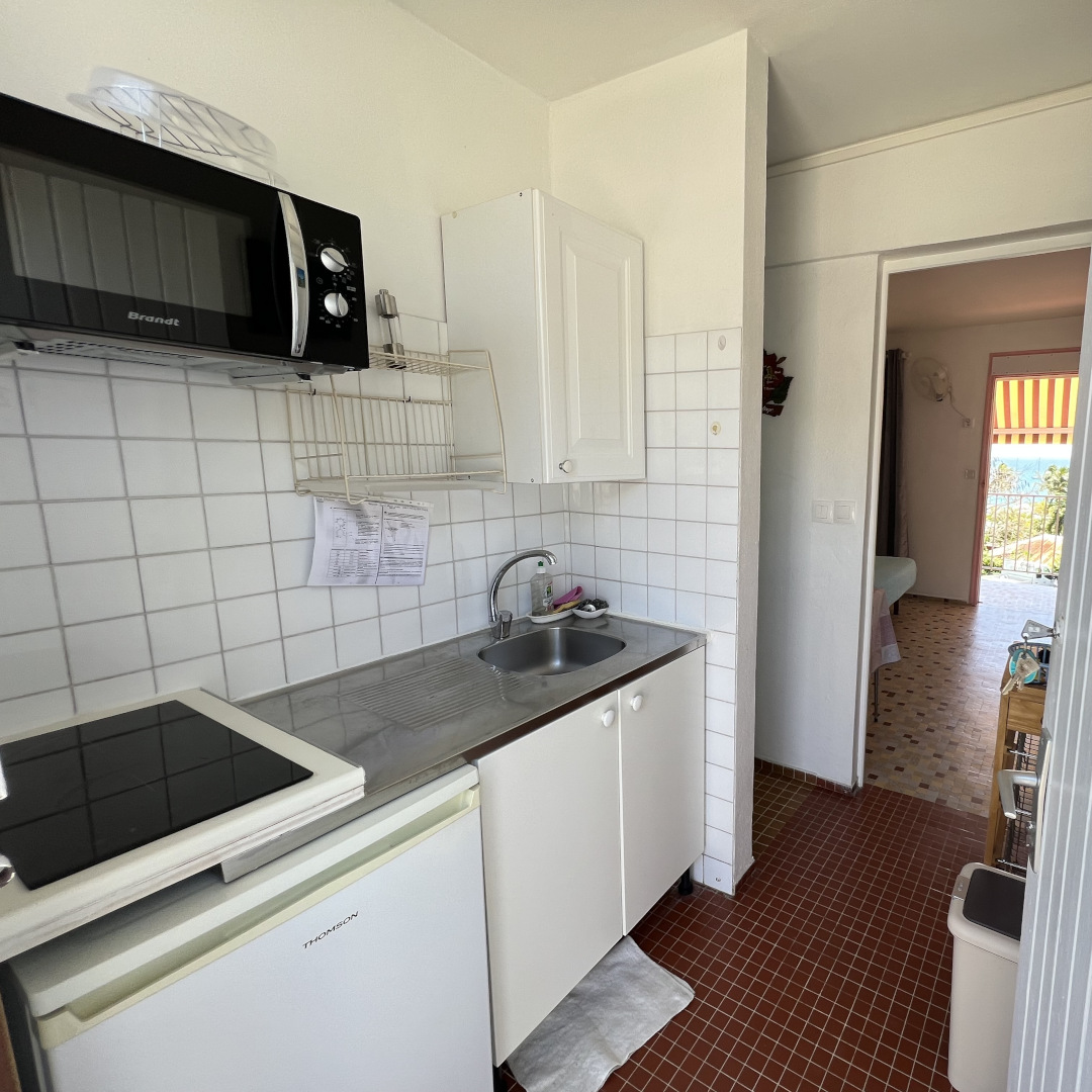 entrée-kitchenette studio Hibiscus 2