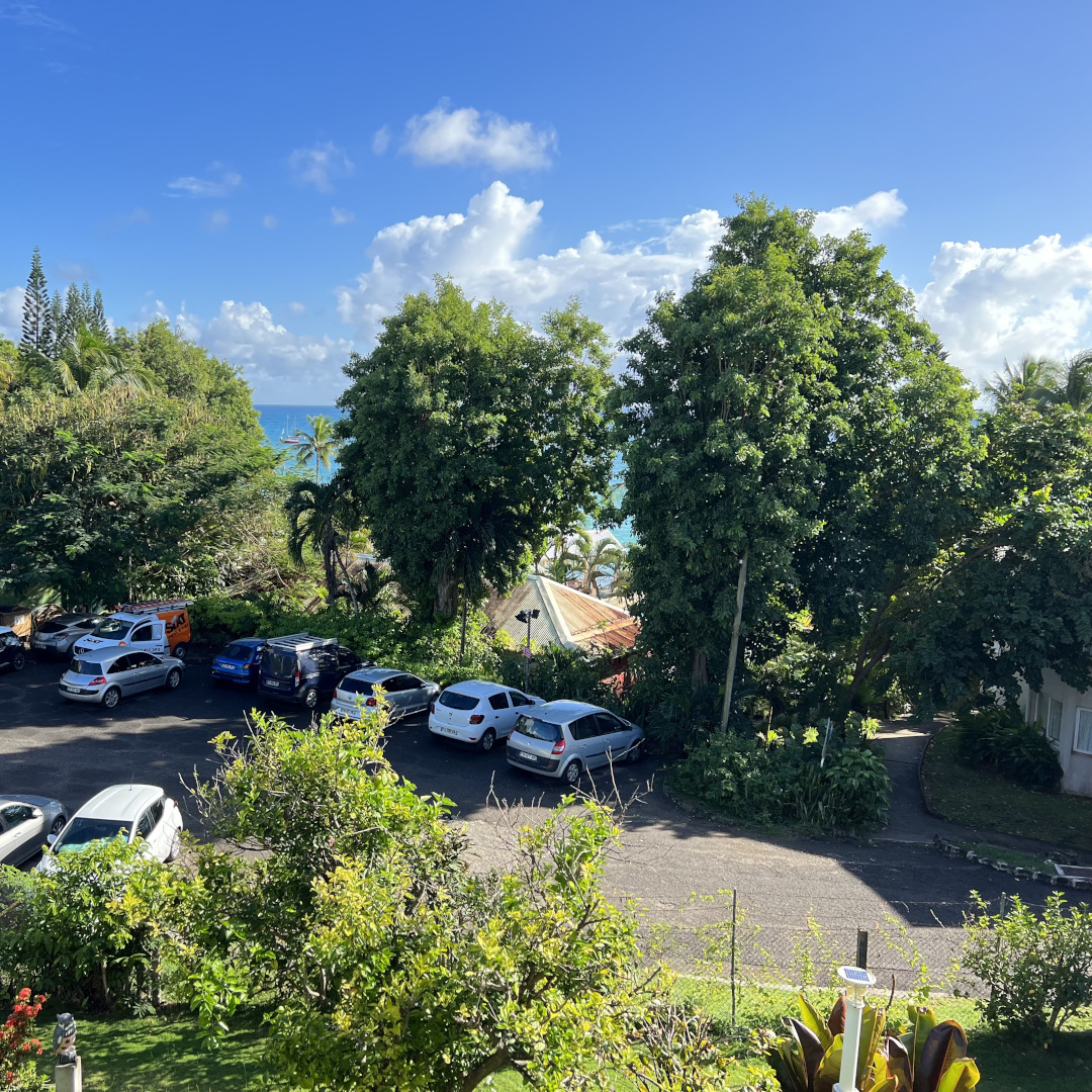 Hibiscus balcon 4
