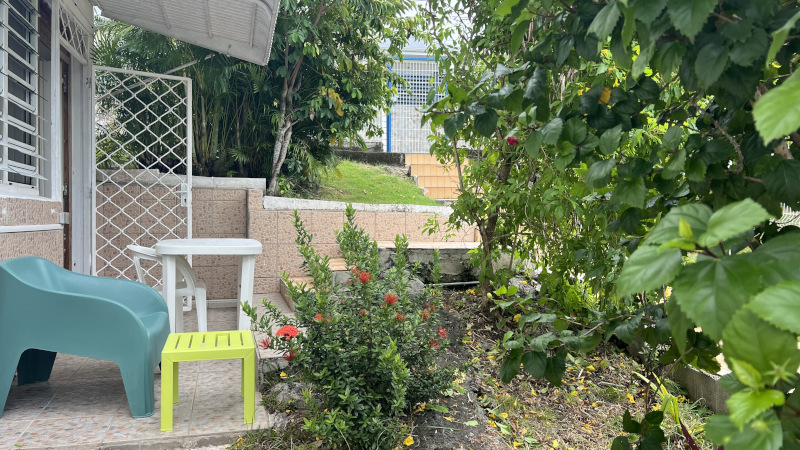 studio Hibiscus 8